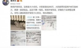 娱乐圈关系大爆料,幕后真相与情感纠葛全解析